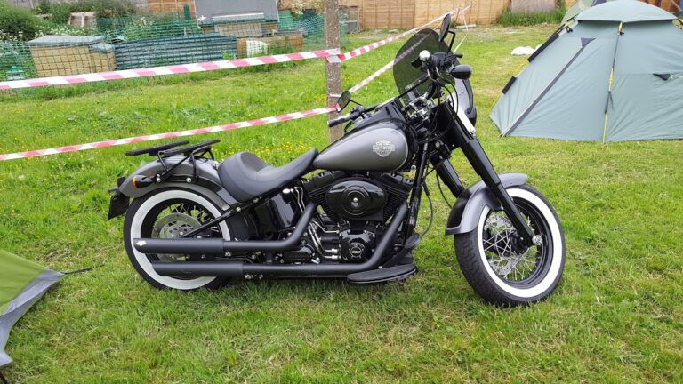 photo.html 350 768x432